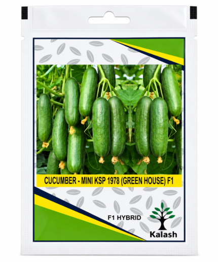 mini cucumber seed