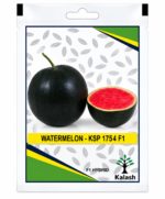 watermelon seed