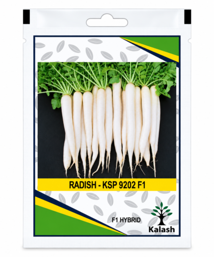 KSP 9202 seeds