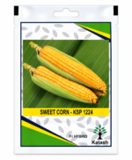 sweetcorn seeds