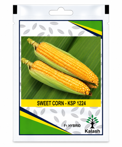 sweetcorn seeds
