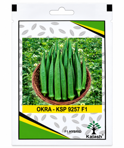okra seeds;