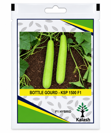 bottle gourd seeds