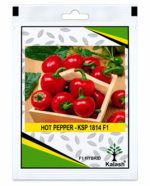 hot pepper seeds