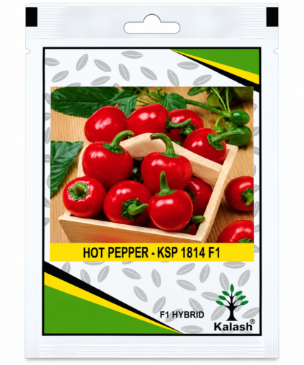 hot pepper seeds