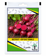 beetroot seeds