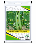sponge gourd seeds