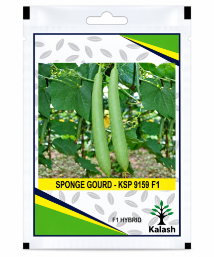 sponge gourd seeds