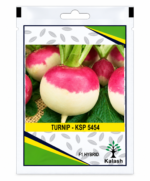 KSP 5454 seeds