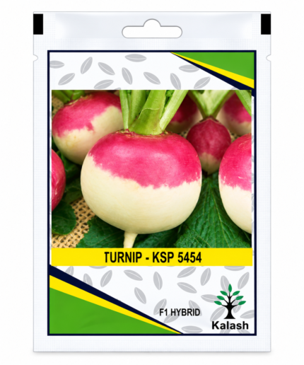 KSP 5454 seeds
