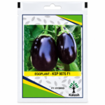 eggplant seeds