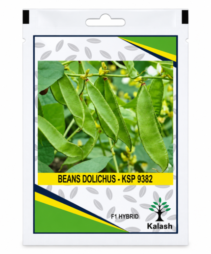 dolichos beans seeds
