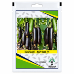eggplant seed