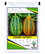 cucumber seed