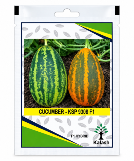 cucumber seed