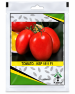 tomato seed
