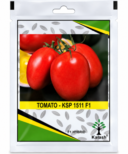 tomato seed