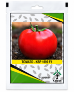 tomato seeds