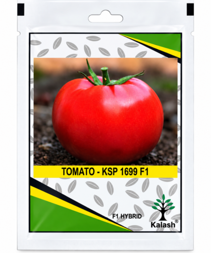 tomato seeds