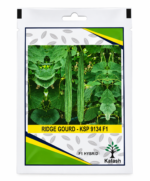 ridge gourd seeds
