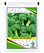 broccoli seed