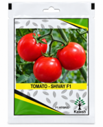 Shivay tomato seeds