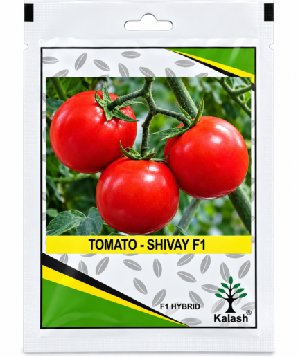 Shivay tomato seeds