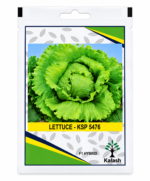 lettuce seeds