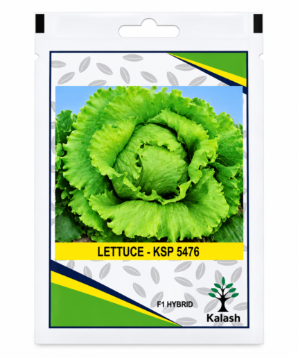 lettuce seeds