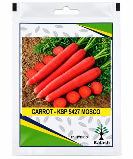 kalash carrot seeds
