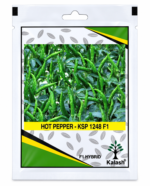 kalash hot pepper seeds