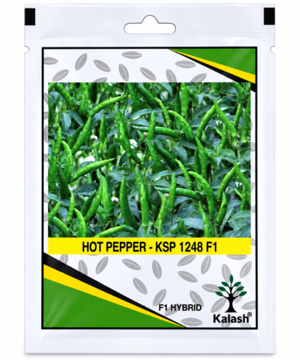 kalash hot pepper seeds
