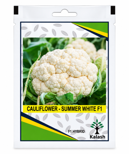 kalash cauliflower seeds