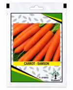 kalash carrot seeds