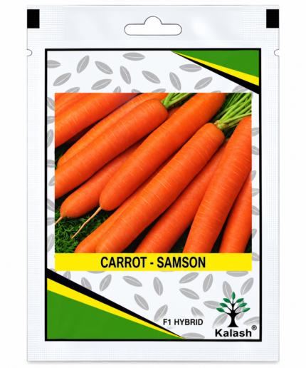 kalash carrot seeds