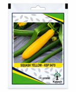 kalash yellow squash seeds