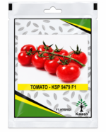 kalash tomato seeds;
