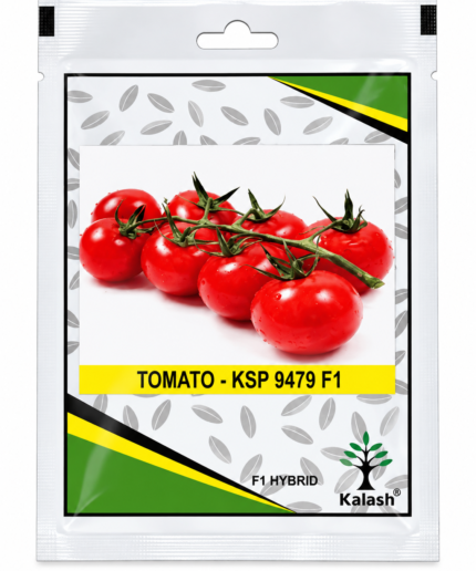 kalash tomato seeds;