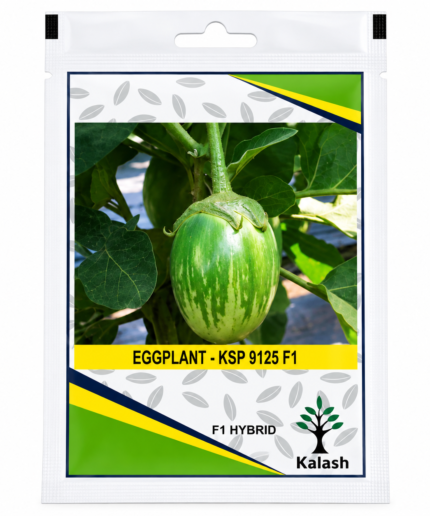 eggplant seeds