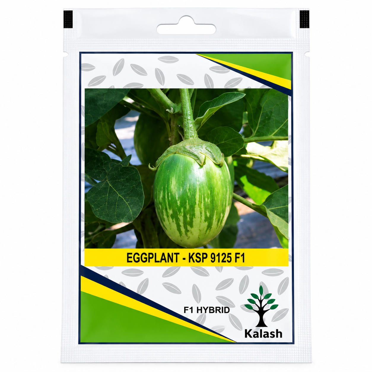 eggplant seeds eggplant seeds