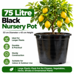 75 Litre Black Nursery Pot Advertisement