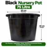 75 litre black nursery pot