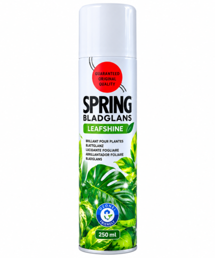 Spring-Leafshine-Plant-Care