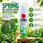Spring-Leafshine-Plant-Care