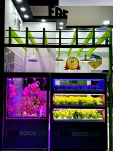 Hydroponic4