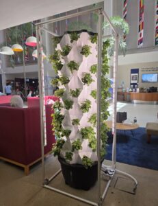 Hydroponic5