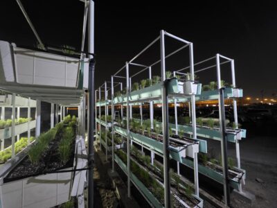 Hydroponic6