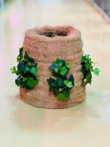 Indoor plant