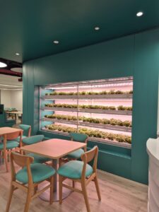 Hydroponic