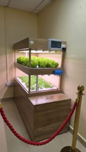 Hydroponic